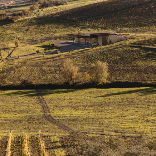 i vigneti col di lamo